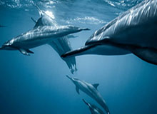 星空体育官方入口：开启你的专属体育世界